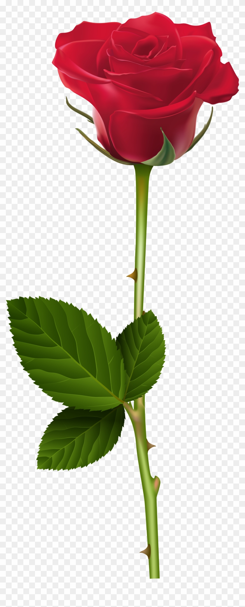 Red Rose Png Transparent Clip Art Image - Png Transparent Rose Png #287070