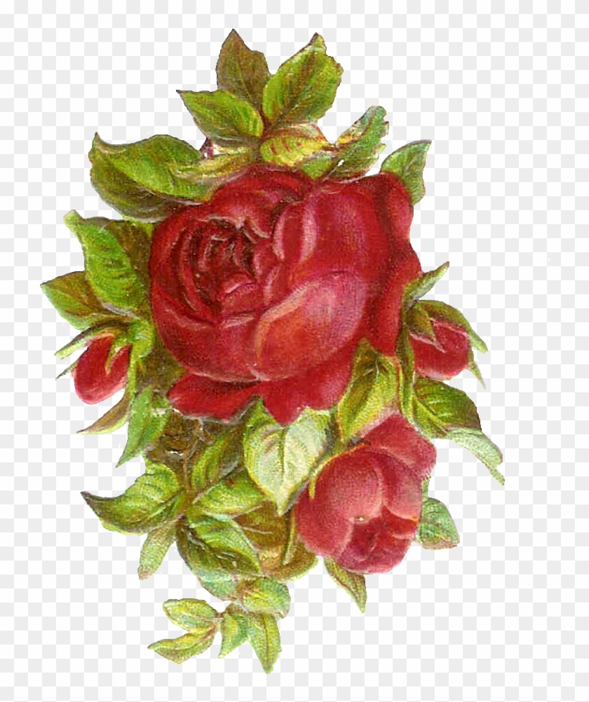 Vintage Roses Images - Vintage Roses Images #287120