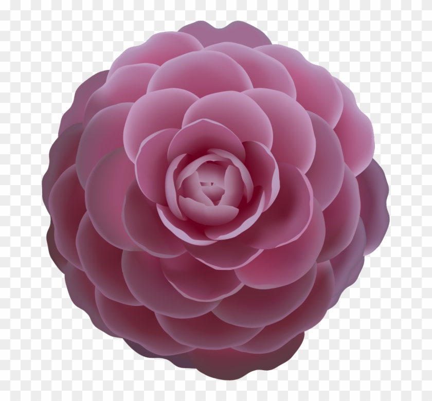 Camellia Rose Clip Art - Adobe Illustrator #287200