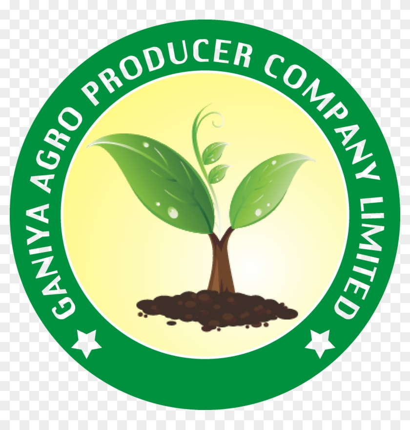 Welcome To Ganiya Agro Producer Company Limited - Community Fridge Brixton #287207