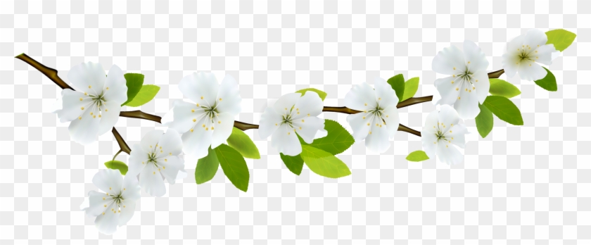 Branch Clipart Spring - Spring Leaves Png #287216