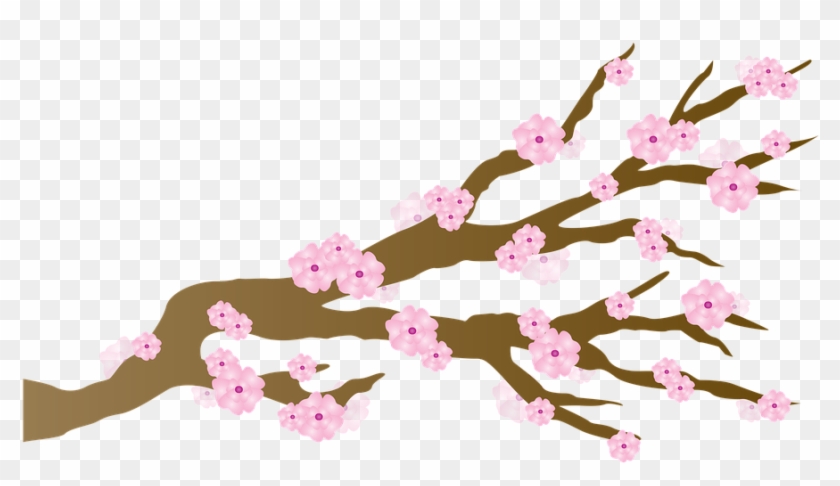 Cherry Blossom Clip Art - Cartoon Cherry Blossom Transparent #287237
