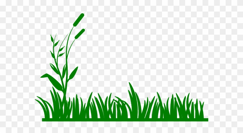 Marsh Clipart - - Jungle Grass Clipart #287296