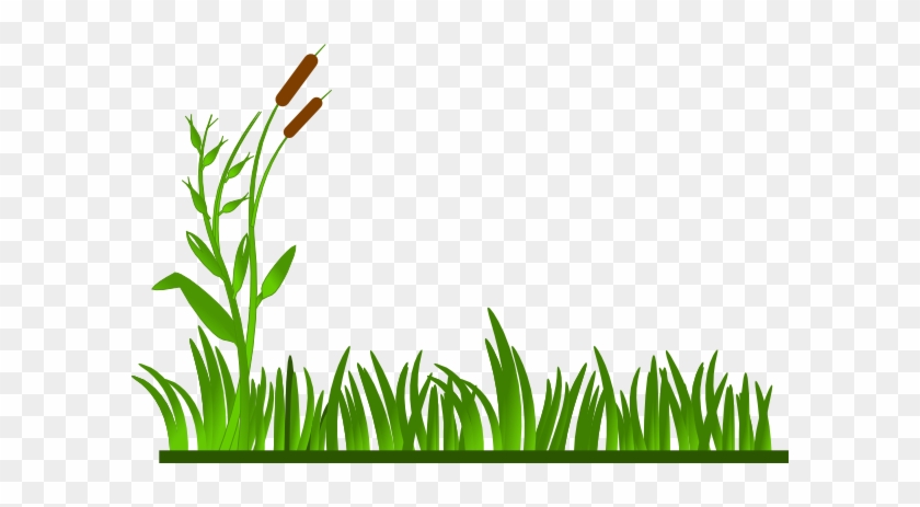 Tree With Lawn Clipart - Clip Art Grass Border #287302
