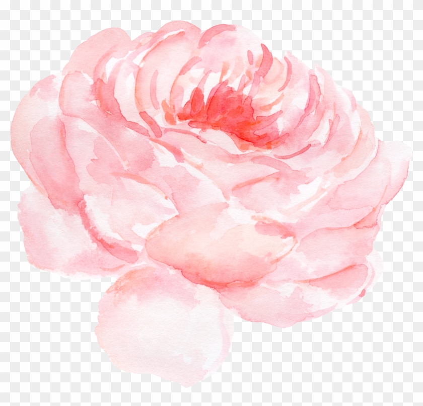 Paper Centifolia Roses Watercolor Painting Clip Art - Paper Centifolia Roses Watercolor Painting Clip Art #287693