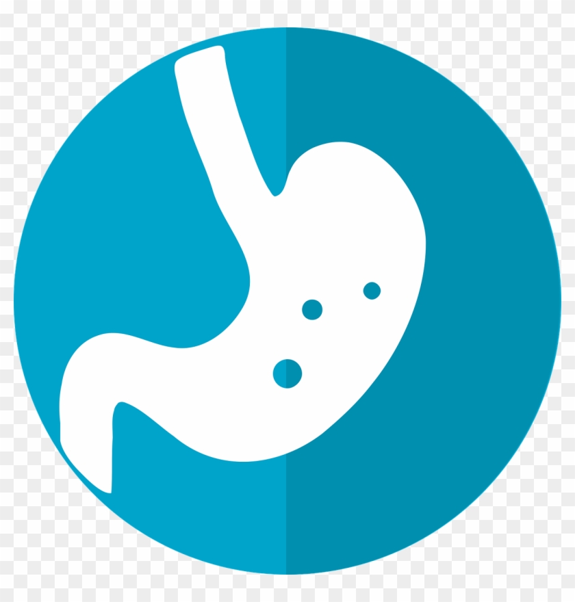 What You Should Know - Stomach Icon #287582
