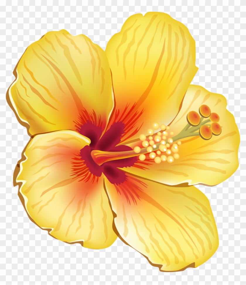 Tropical Clipart Orange Hibiscus - Yellow Hibiscus Shower Curtain #287756