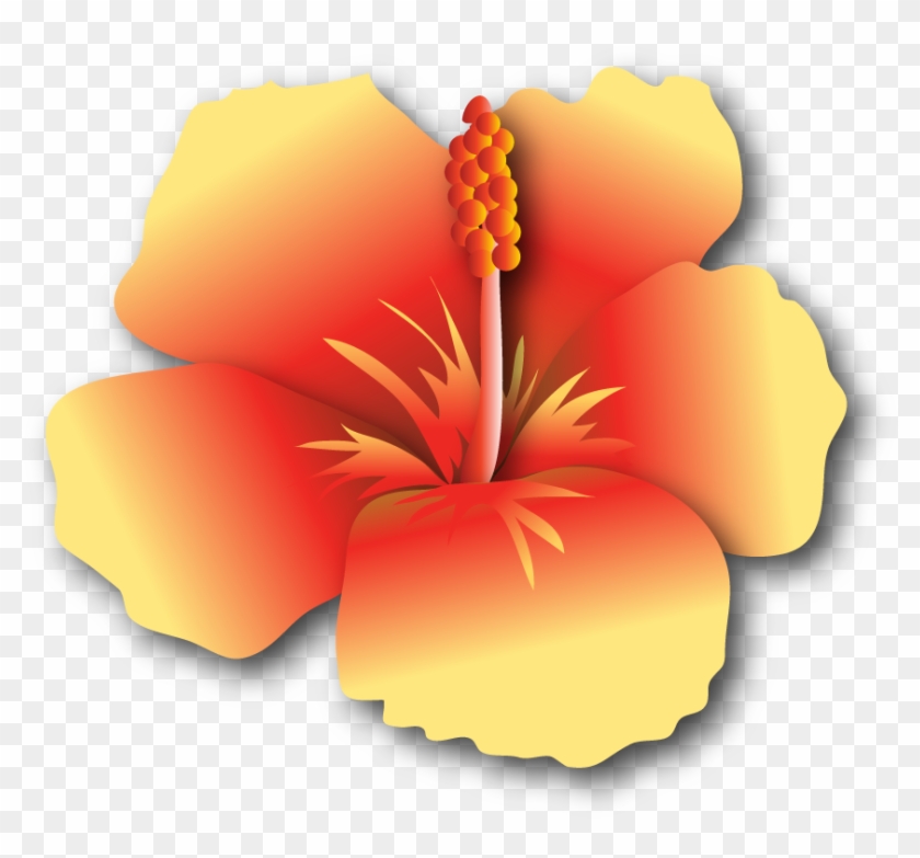 Hibiscus-yr $500 - - Hawaiian Hibiscus #288068