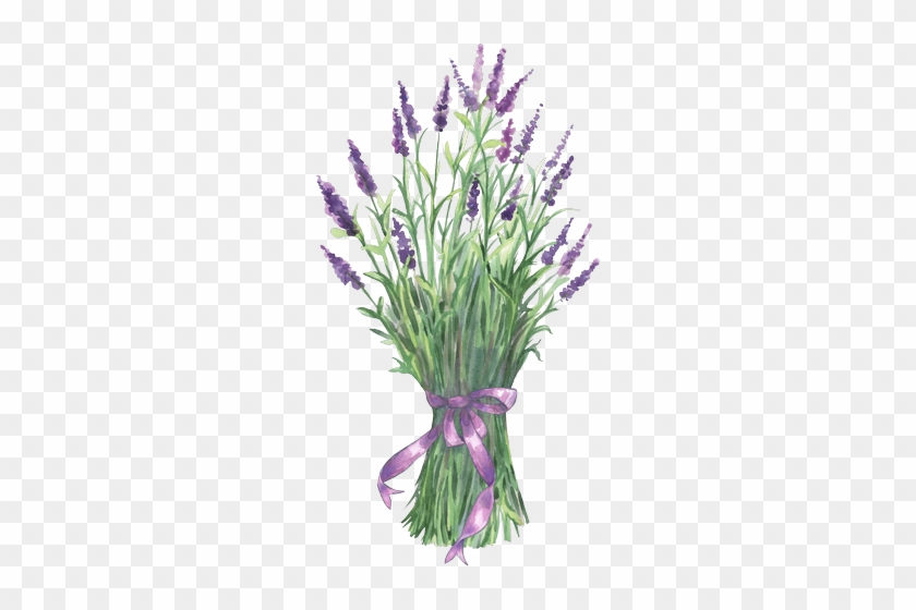 Cuadro - Lavender Clip Art #288193