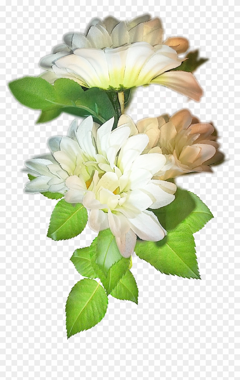Ramo De 3 Flores Blancas - Rosa Rugosa #288211