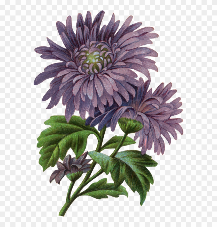 Arte - Flower #288241