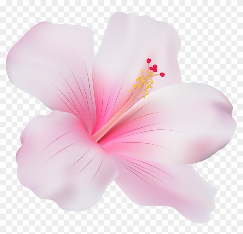 Pink Hibiscus Png Clip Art - Pink Hibiscus Flower Png #288251