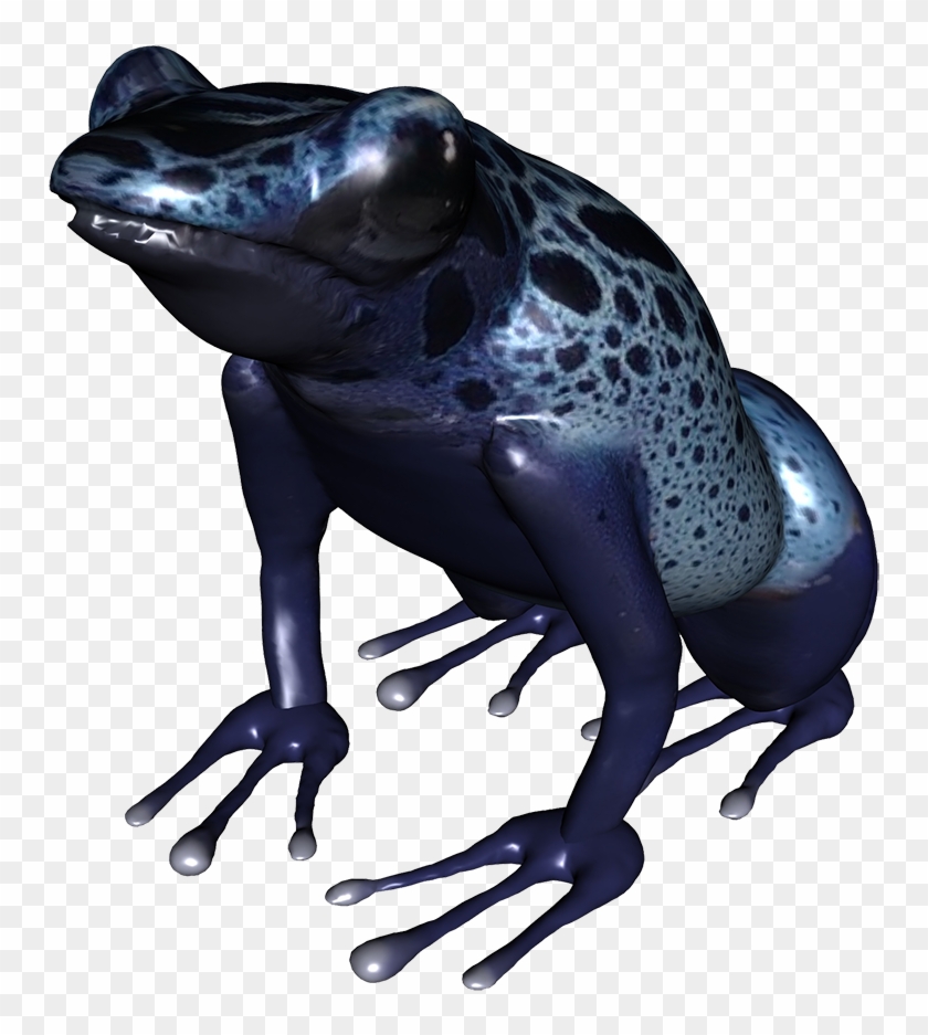 Underside Of Frog Png, Blue Frog Png - Toad #288339