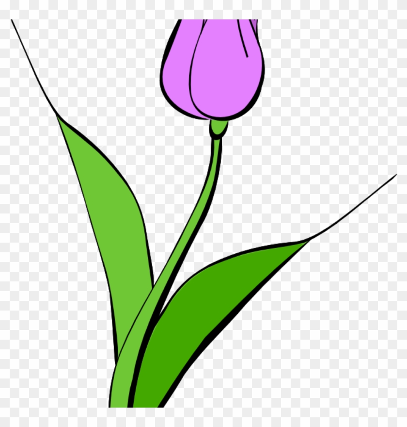 Tulip Clipart Tulip Clipart Clipart Panda Free Clipart - Clip Art #288380