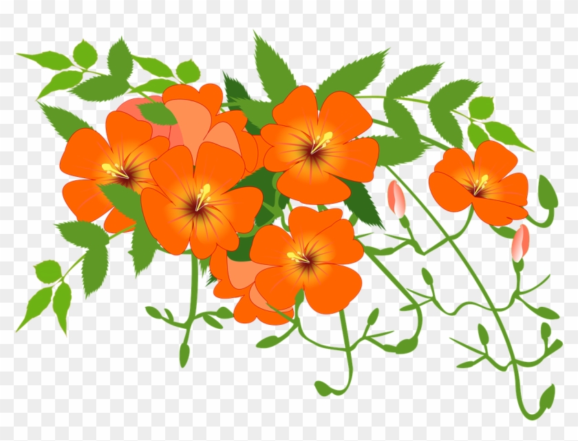 Chinese Trumpet Vine Flower Vine Png Image - Chinese Trumpet Vine #288582