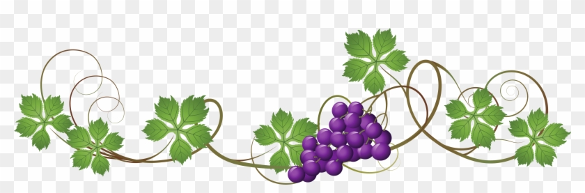 Vine - Grape Vine Border Png #288789