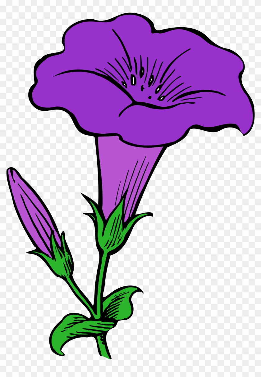 Purple Flowers Clipart 26, - Gamopetalous Flowers #288791