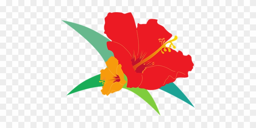 Hibiscus, Bird's Flowers, Red, Orange - Vector Graphics #288862