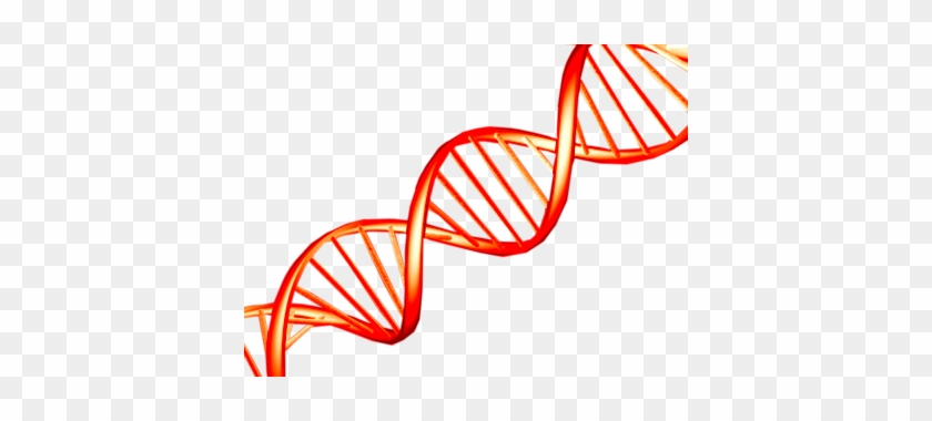 Dna Png - Brin Adn Png #289009