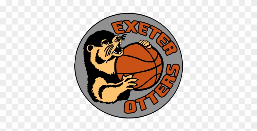 Devon Otters Wheelchair Basketball #289073