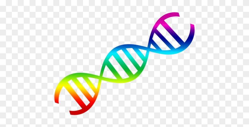 Dna Png - Dna Double Helix Clipart #289133