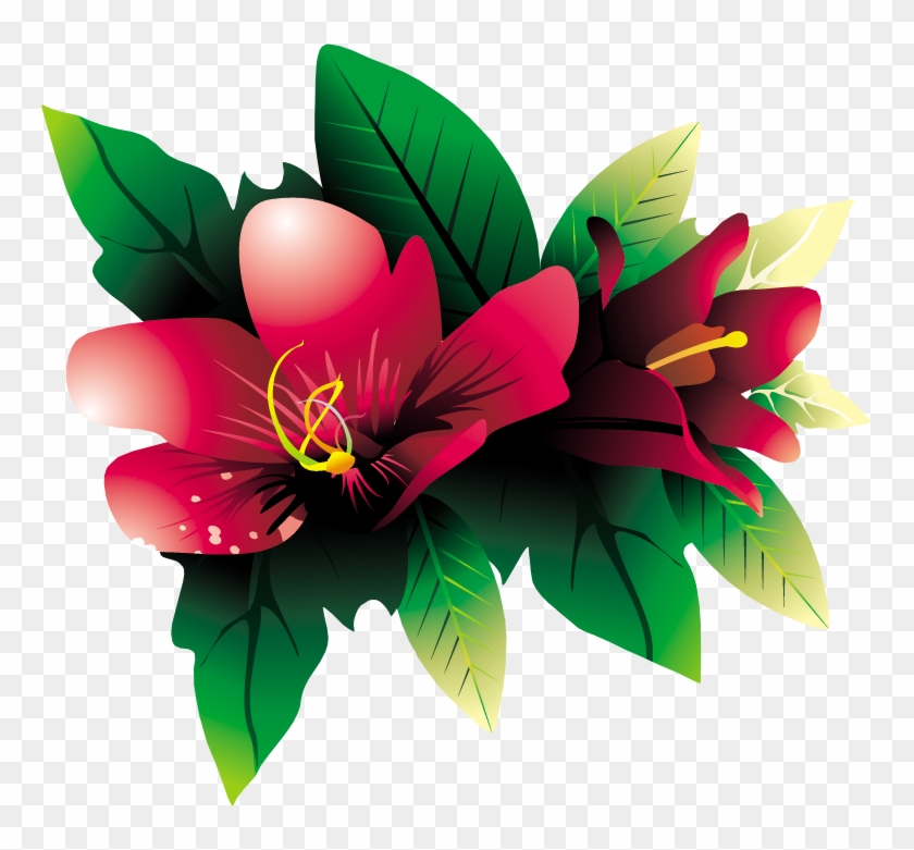 Tropical Flower Hq Png By Briellefantasy - Beautiful Flower Images Download #289172