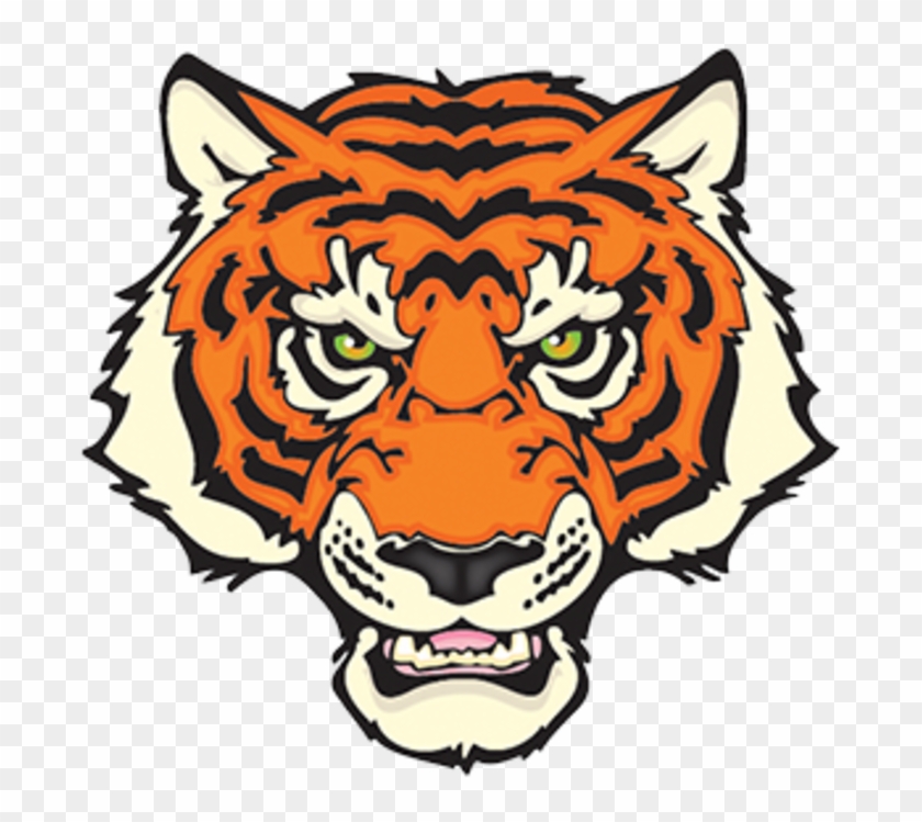 El Paso Tigers - El Paso High School El Paso #289251