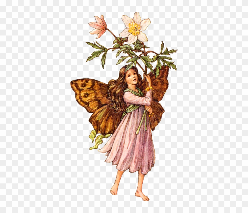 Images For Vintage / Vintage Free Images - Flower Fairies No Background #289347