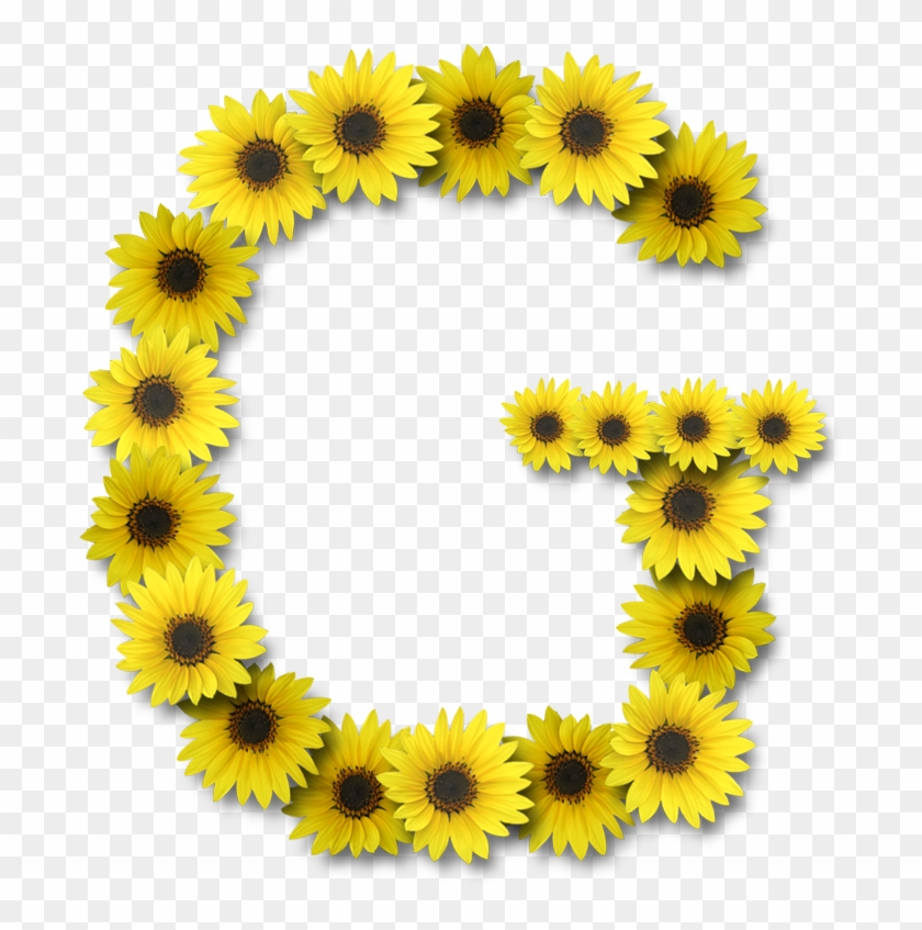 Alfabeto Sunflowers - Letter O With Sunflower #289370