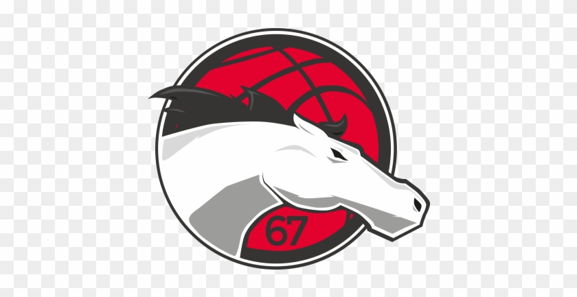 Leicester Riders Basketball #289382