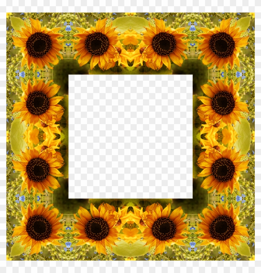 Clipart Sunflower Png Best Image - Portable Network Graphics #289393