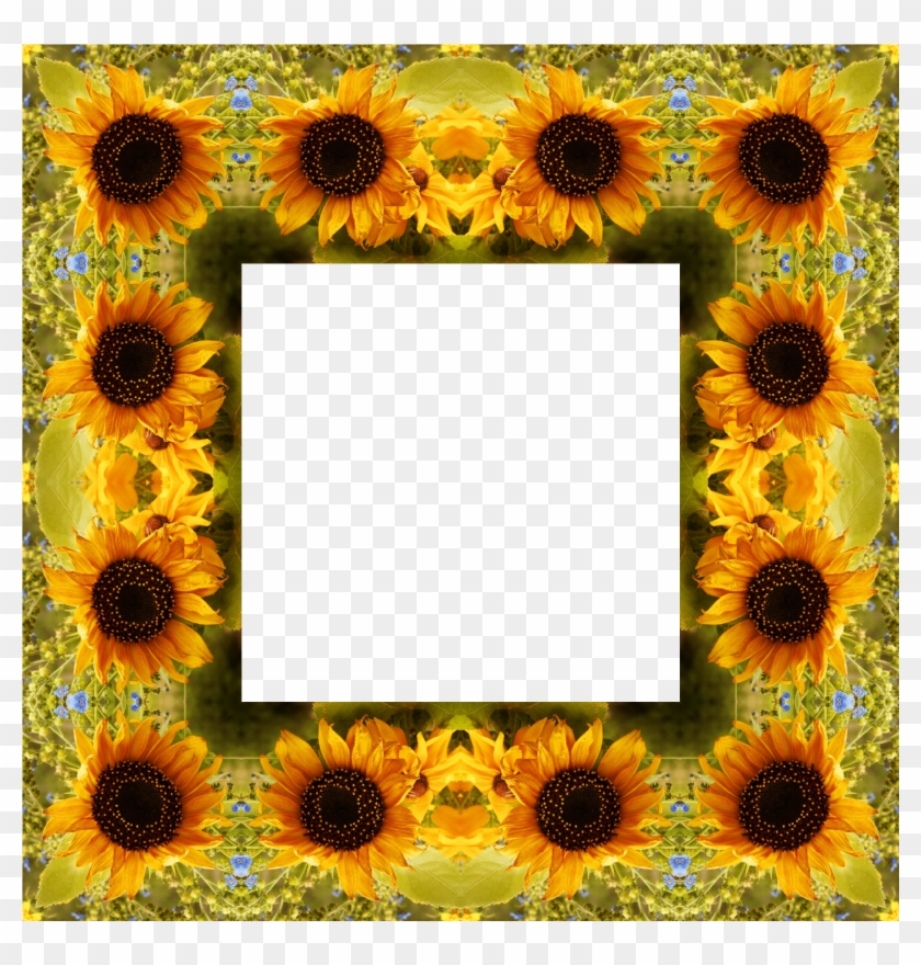 Clipart Sunflower Png Best Image - Portable Network Graphics #289393