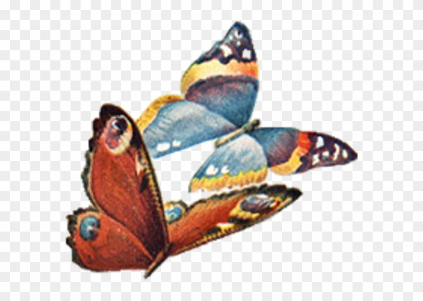 Vintage Butterfly No Back Facing Left Image - Transparent Vintage Butterfly #289532