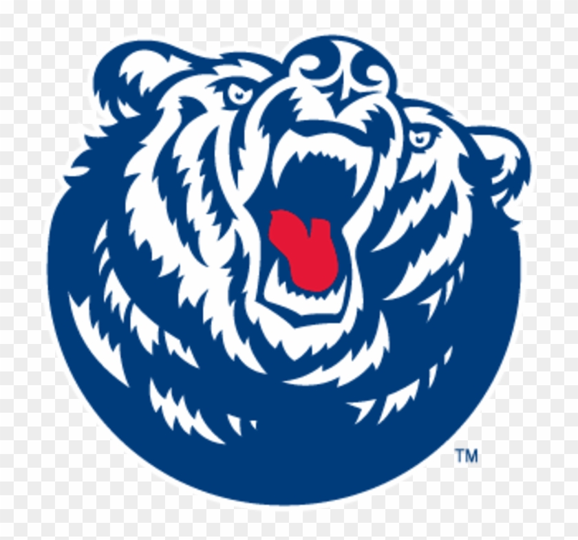 Belmont Bruin #289656