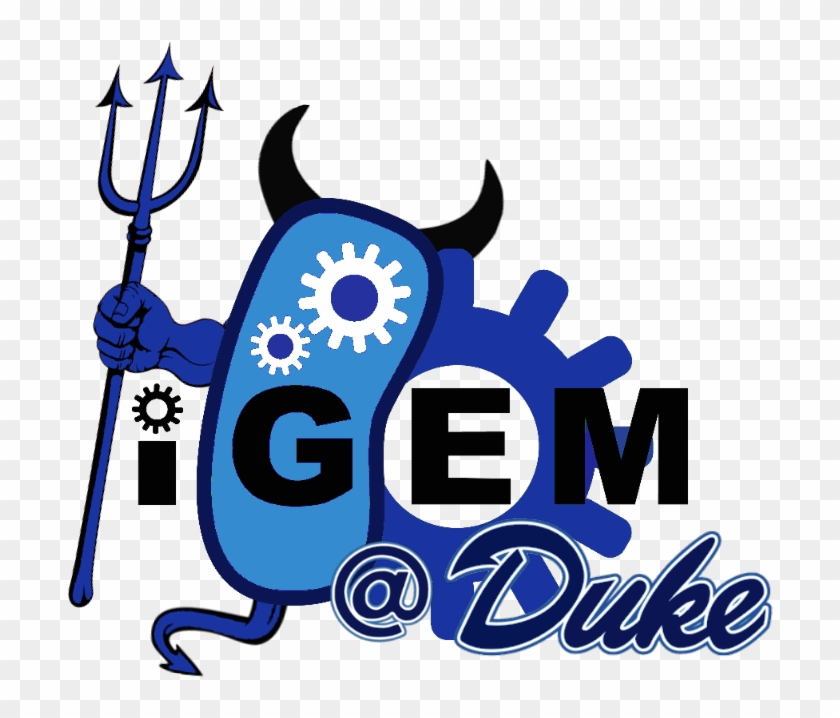 Duke Igem - International Genetically Engineered Machine #289661