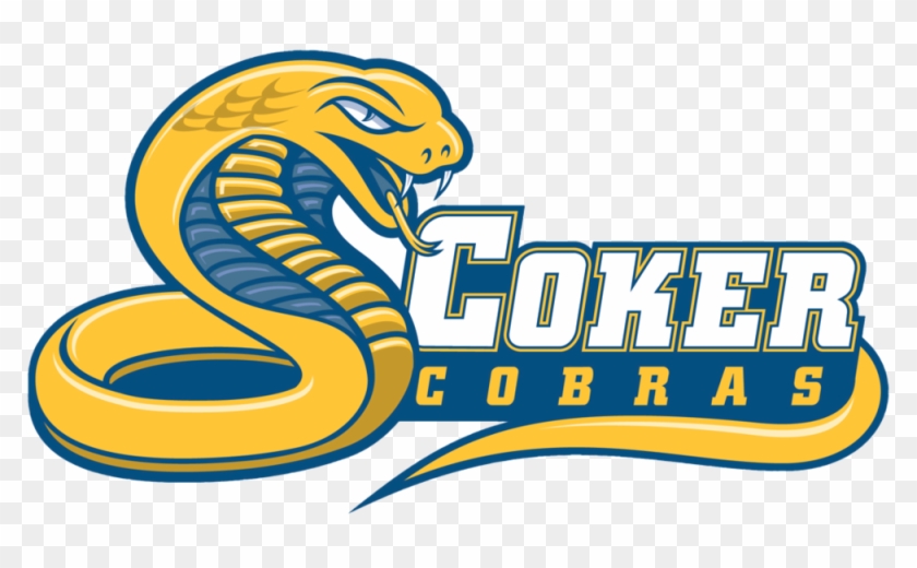 Coker Cobras - Coker Cobras #289700