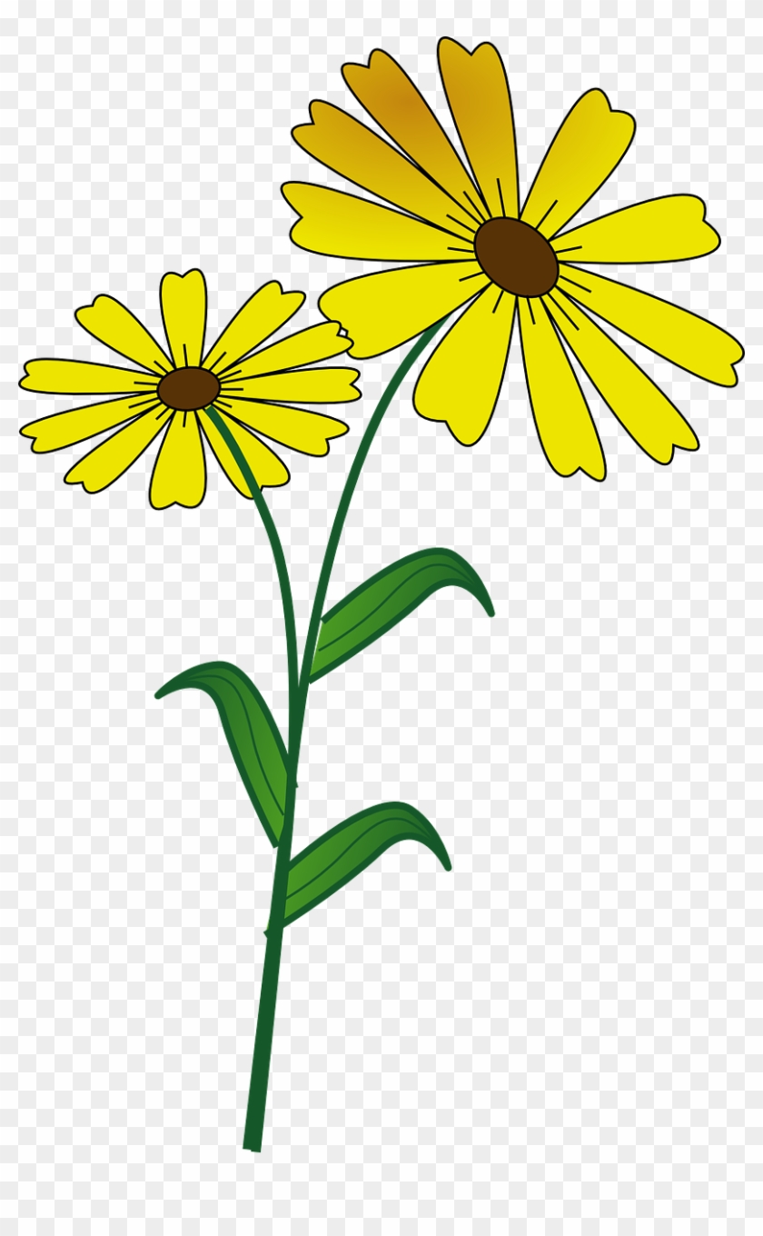 Clip Art - Wild Flower - Clip Art - Wild Flower #289848