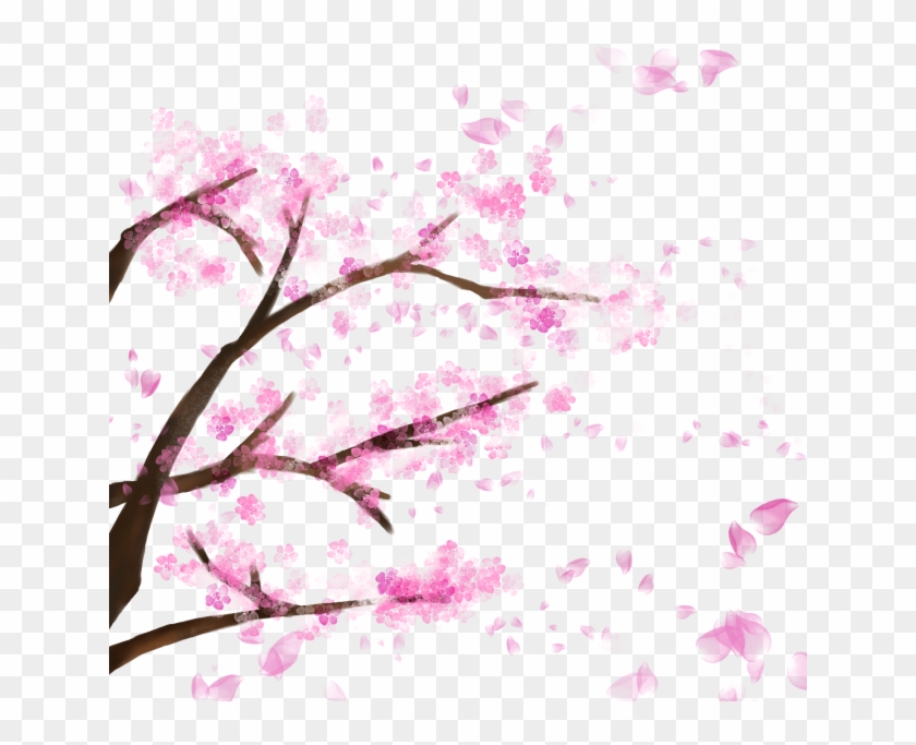 Blooming Cherry Tree, Cherry Blossom，sakura, Cherry, - Cherry Blossom Tree Transparent Backfround #289841