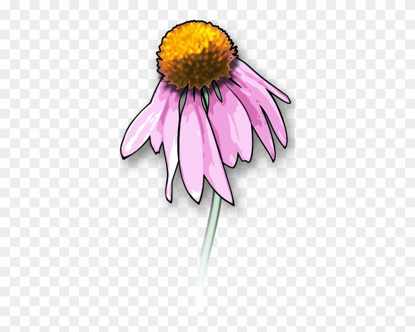 Dead Flower Clip Art At Clker - Draw A Dead Flower #289842