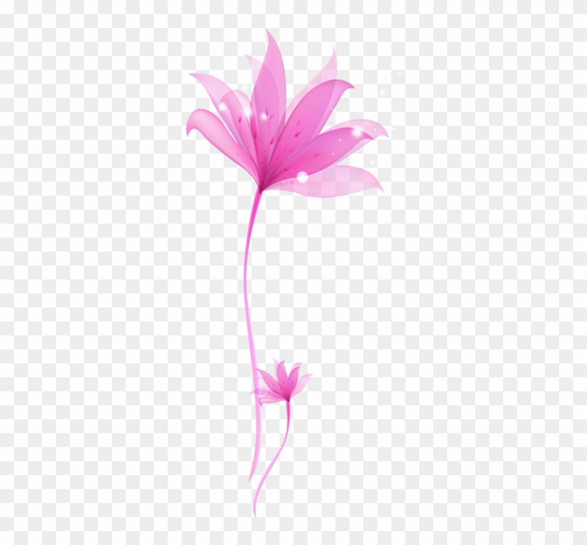 decorative pink flower png transparent ornament invitation card