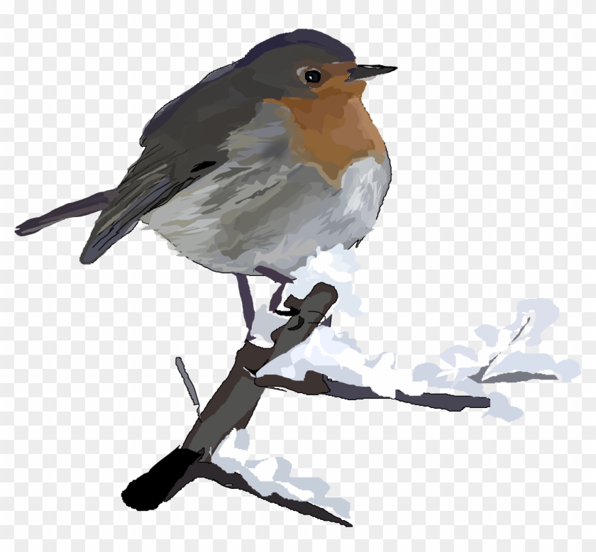 Robin Clipart Transparent - Christmas Robin Clip Art #289906