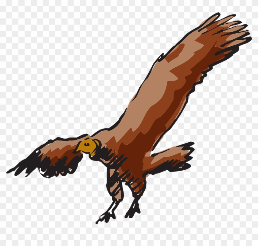 Fly Drawing, Bird, Flying, Wings, Art, Vulture, Fly - Clipart Vulture #290125