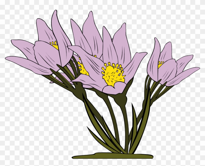 Crocus Clipart Wild Flower - Garden Flowers Coloring Book: Relaxing Coloring Pages #290214