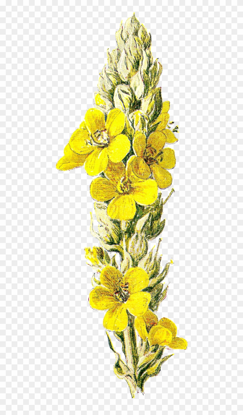 Wildflower Clipart - Clipground - Bouquet #290287