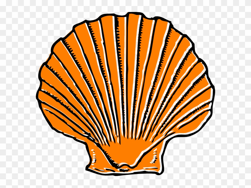 Orange Seashell Clip Art - Shell Clipart #290431