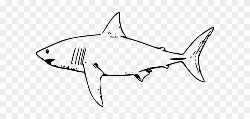 Sharks Clipart - Sharks Clipart #290486