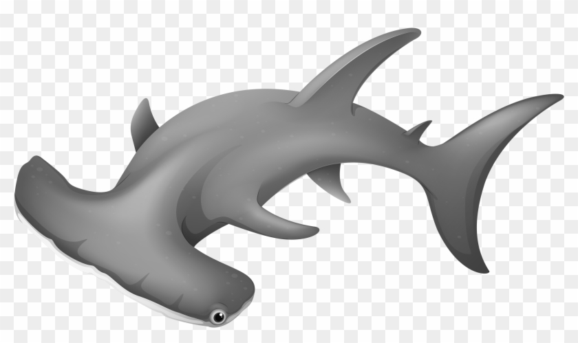 Hammerheadshark Png Clipart - Hammerhead Shark Picture Png #290572