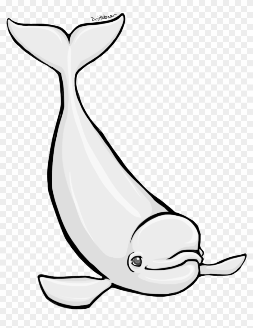 Animated Beluga Whale Images Pictures - Cartoon Beluga Whale - Free  Transparent PNG Clipart Images Download