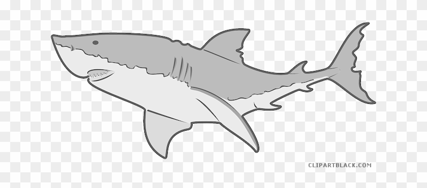 Grey Shark Animal Free Black White Clipart Images Clipartblack - Great White Shark Shower Curtain #290673