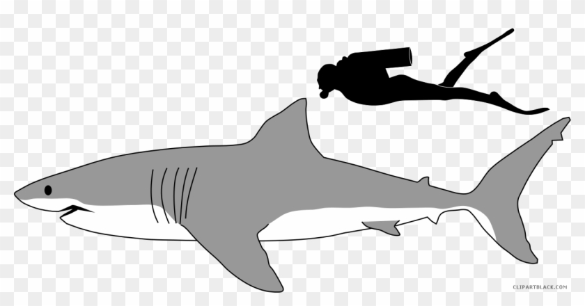 Great White Shark Animal Free Black White Clipart Images - Great White Shark Size #290679